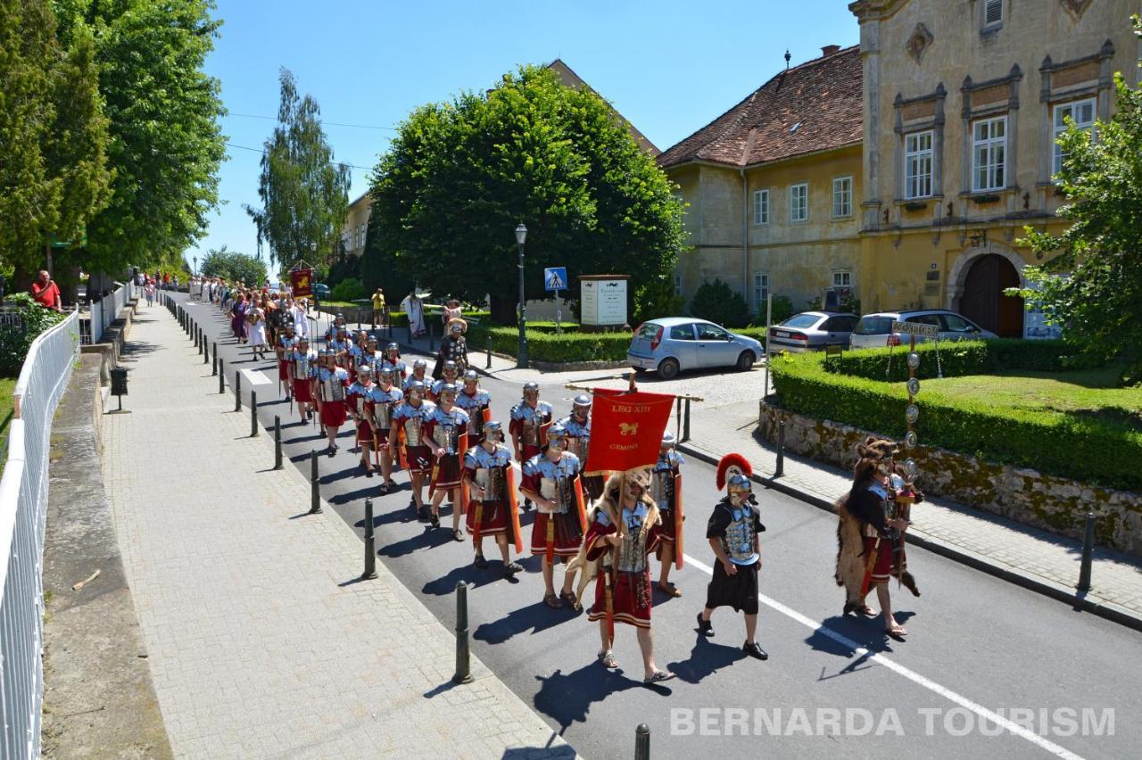 Hotel Pansion Bernarda Nova Varazdinske Toplice Zewnętrze zdjęcie